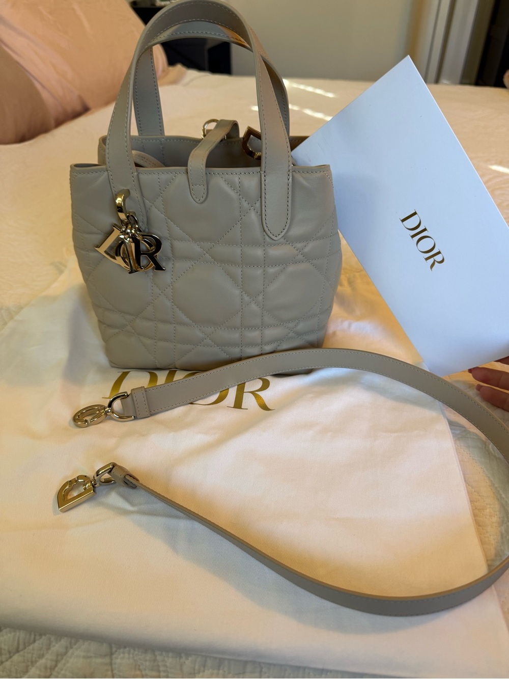 Christian Dior Small Dior Toujours Vertical Tote Bag